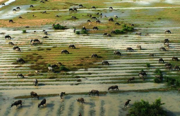 Unique Siem Reap For 3 Days
