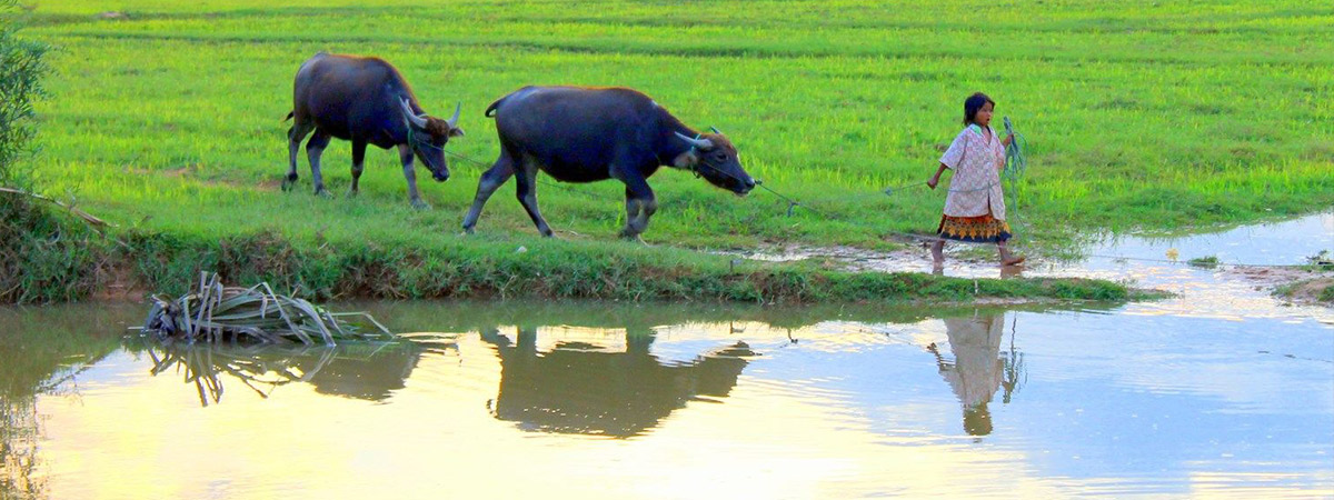 Countryside Tours